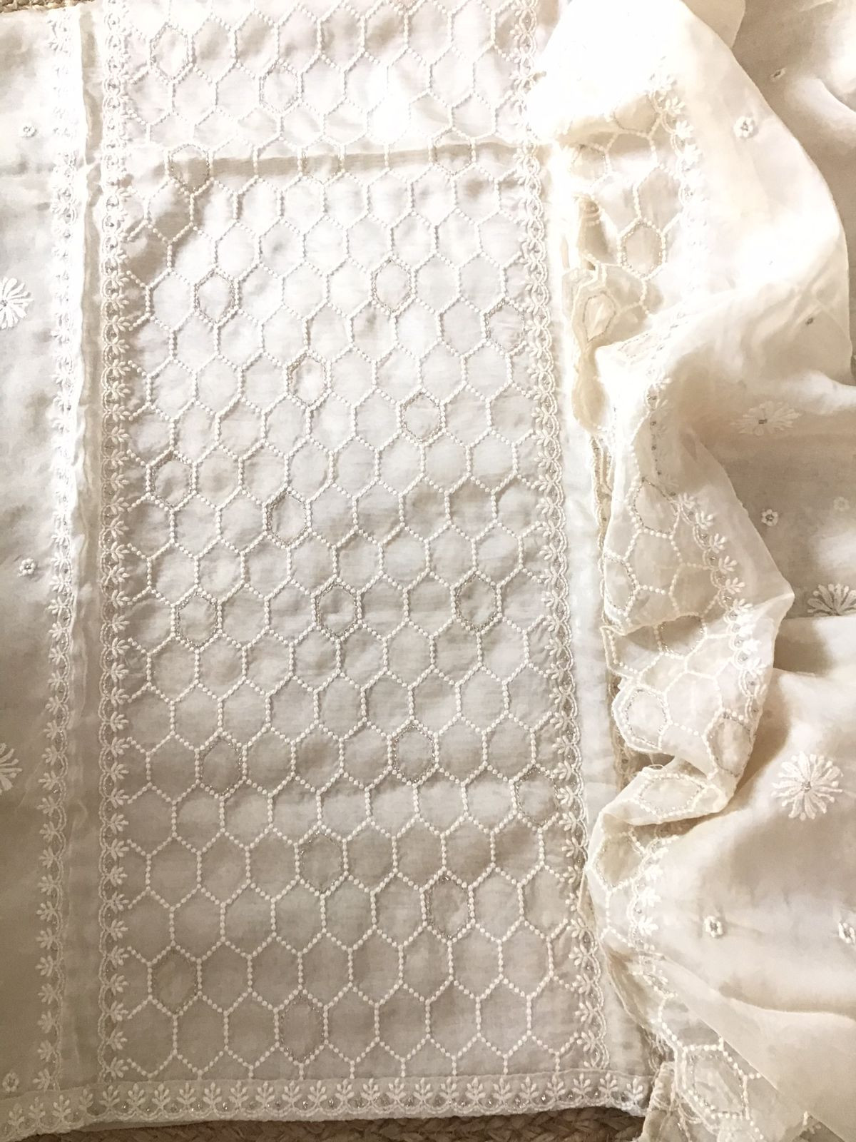 Soft Fine Organza Embroidered Suit - Cream