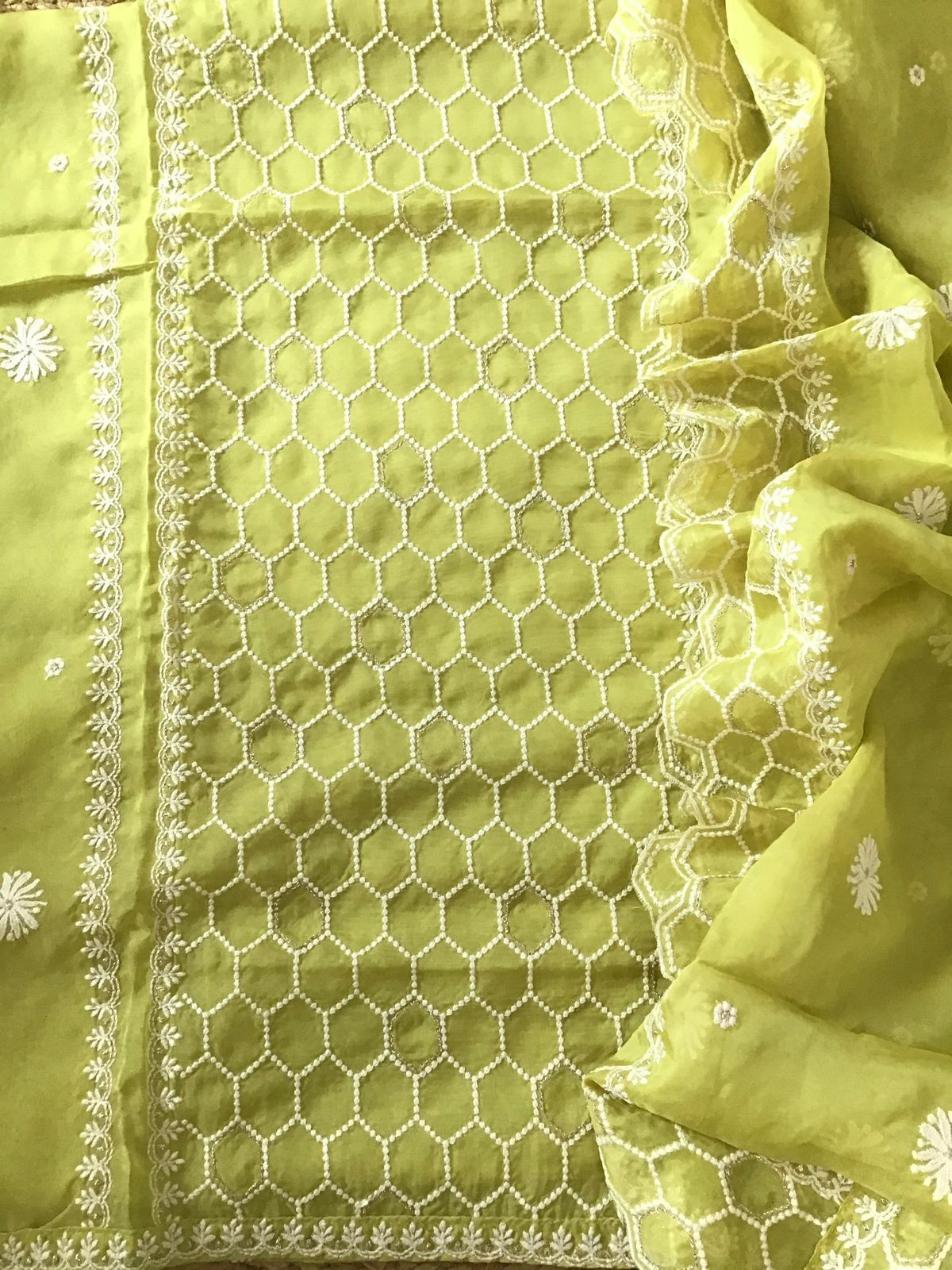 Soft Fine Organza Embroidered Suit - Lime Green