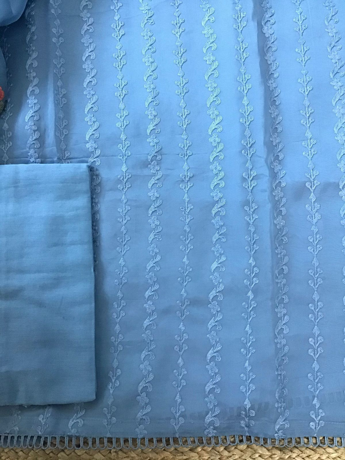 Pure Organza Embroidered Suit - Blue