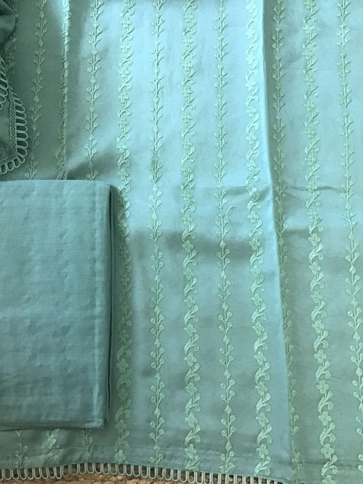 Pure Organza Embroidered Suit - Green