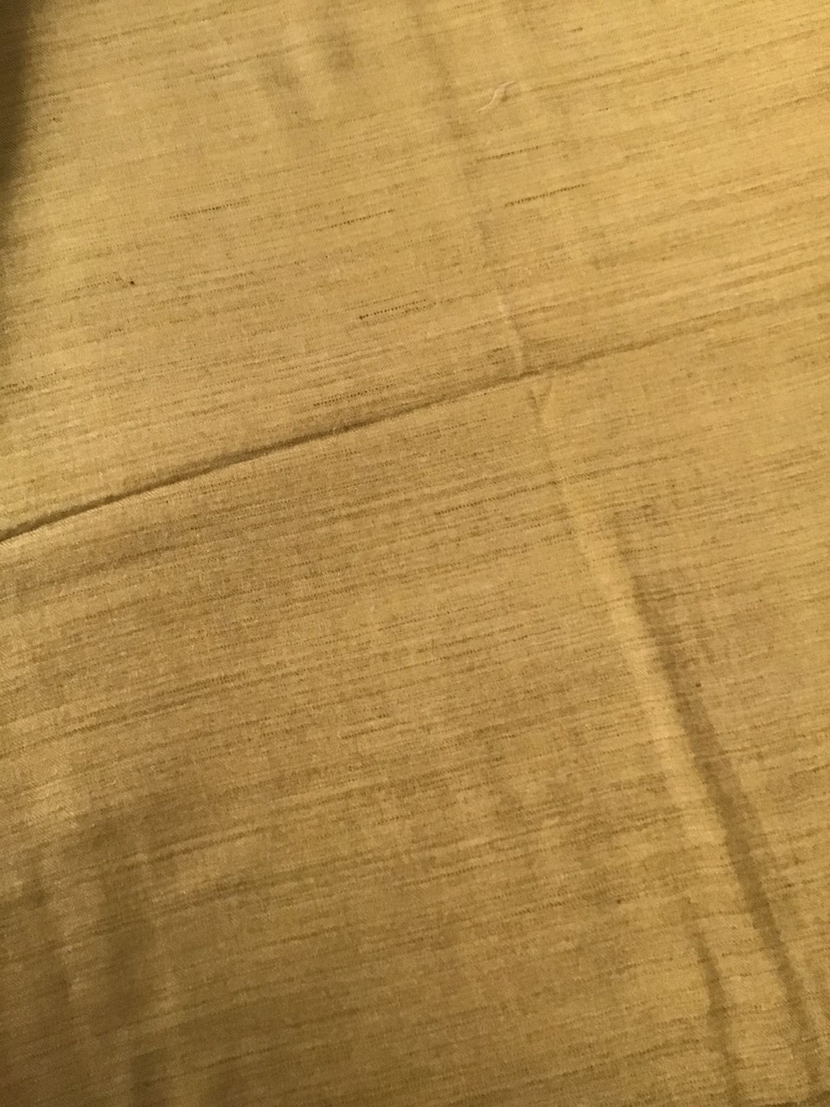 Pure Woollen Basbara Cotton Silk Printed Suit - Yellow