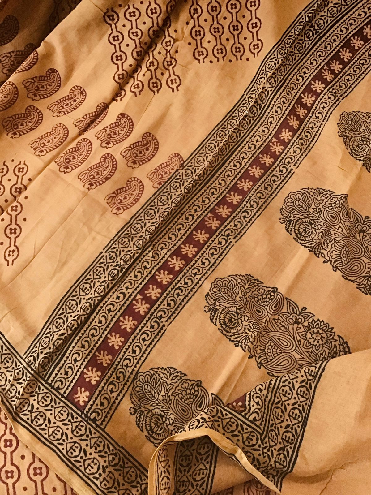 Pure Cotton Bagh Printed Embroidered Suit - Light Brown