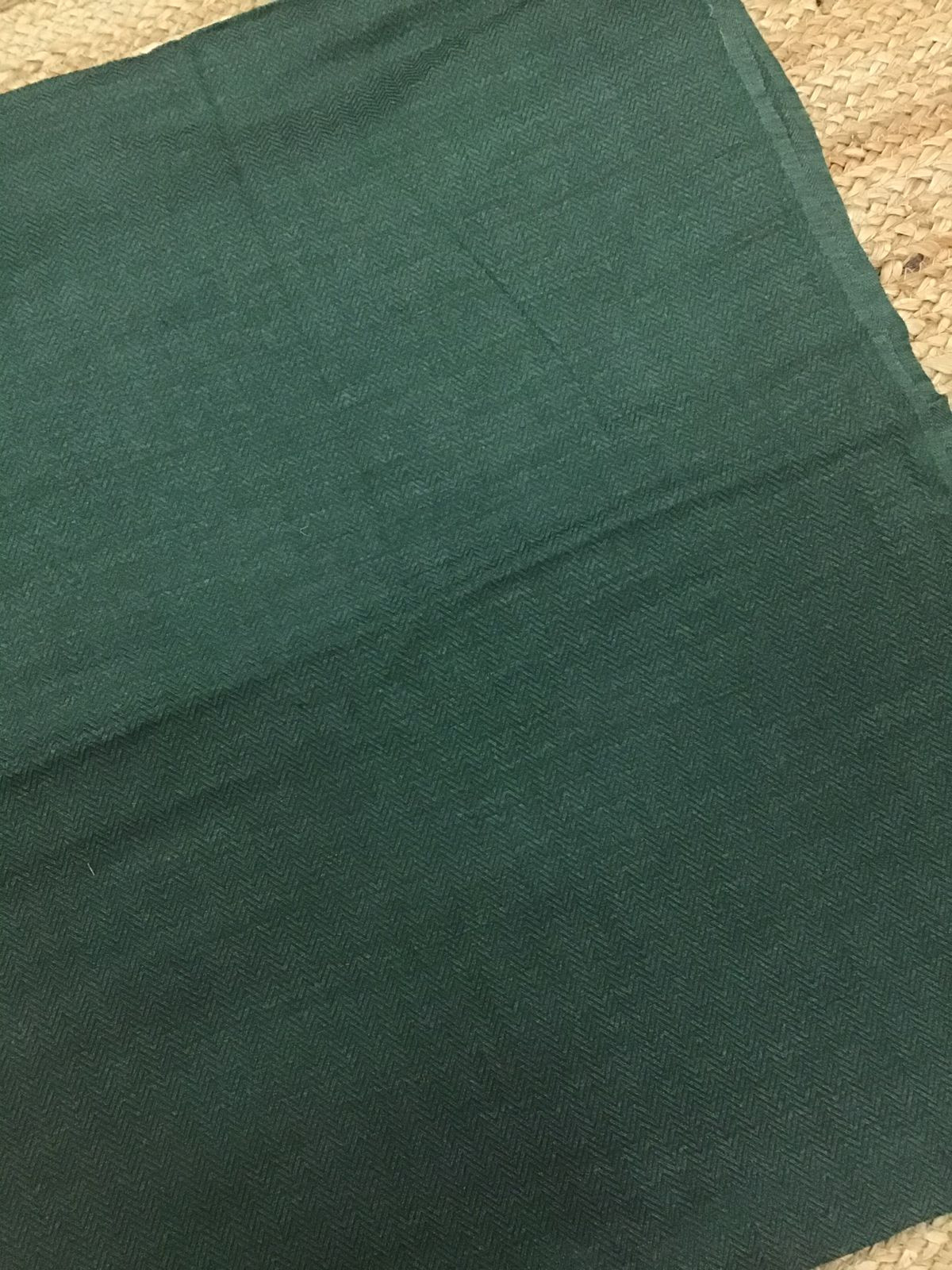 Soft Woollen Basbara Cotton Silk Printed Suit - Green