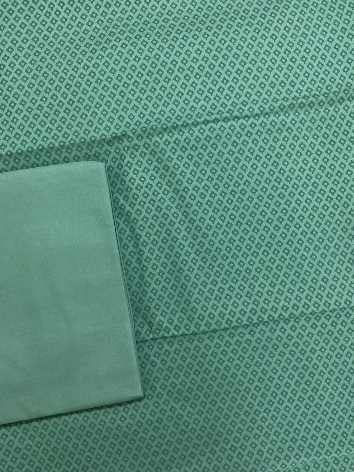 Pure Cotton Printed Embroidered Suit - Blue