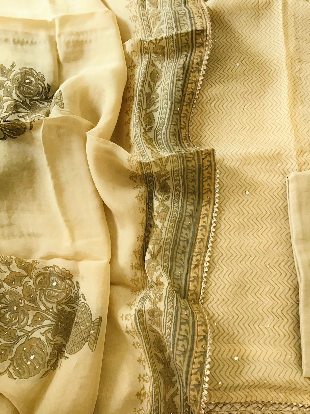 Pure Organza Printed Embroidered Suit - Beige