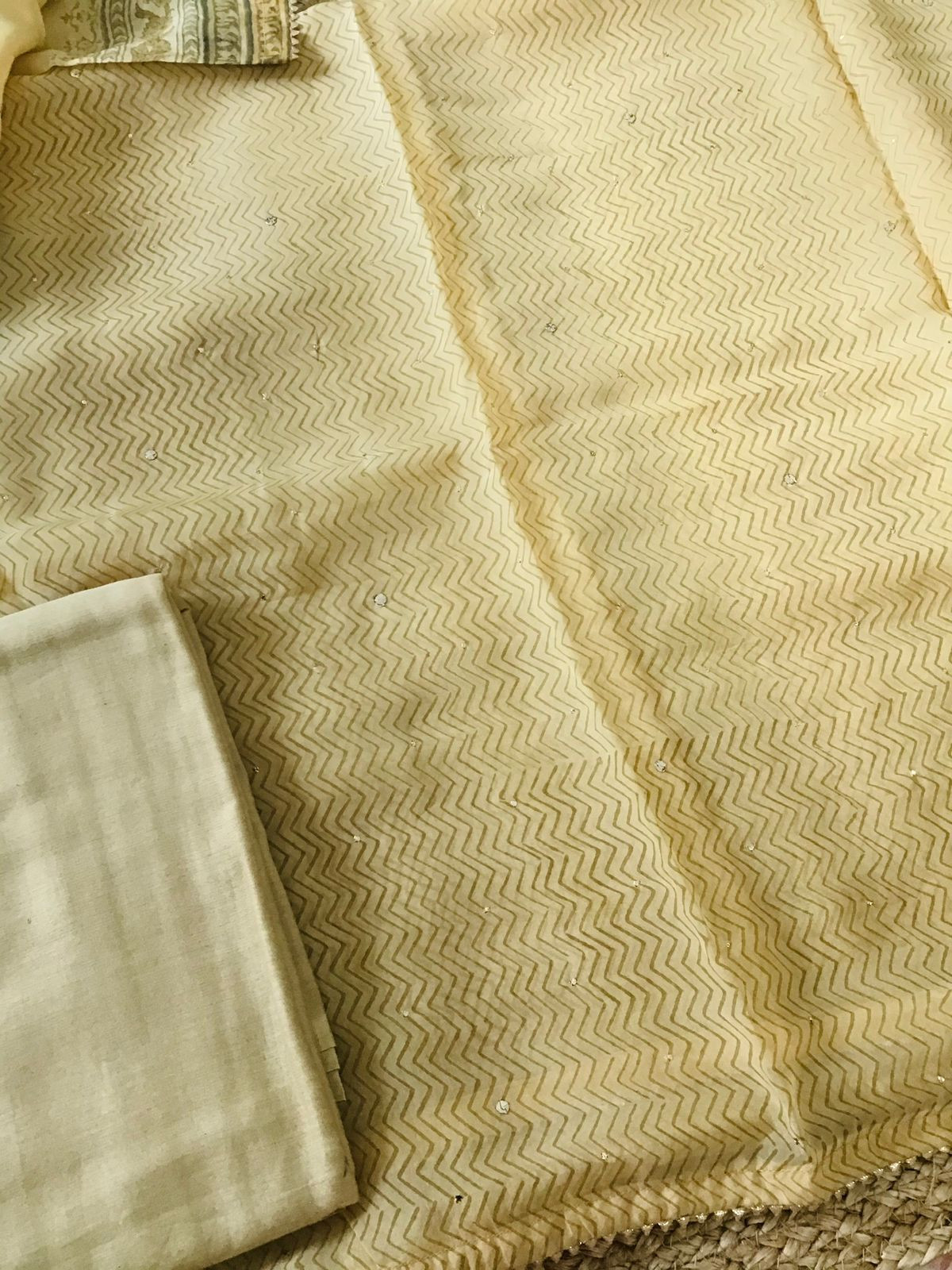 Pure Organza Printed Embroidered Suit - Beige