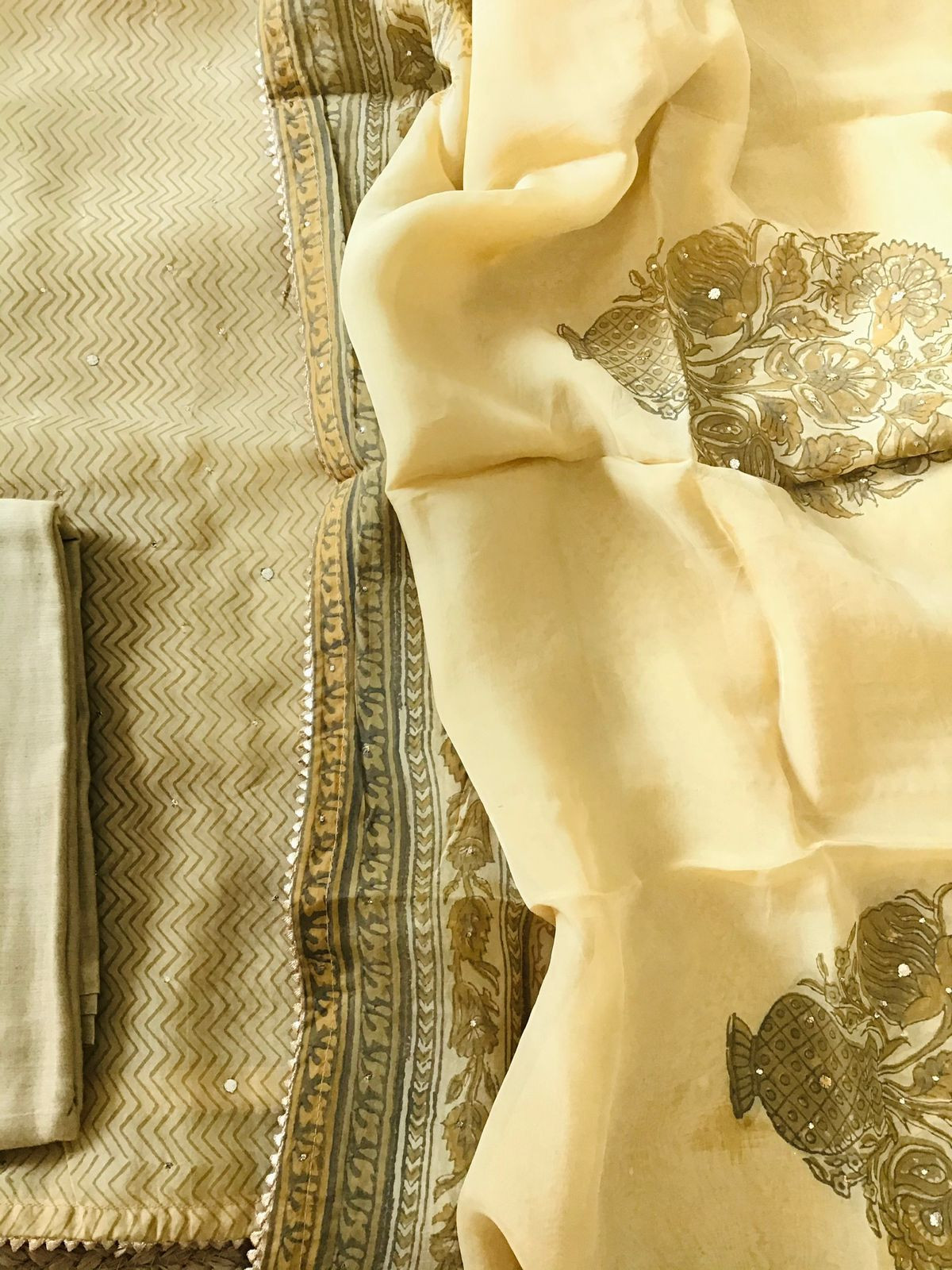 Pure Organza Printed Embroidered Suit - Beige