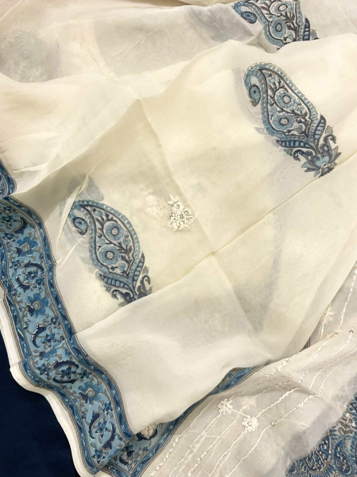 Pure Organza Printed Embroidered Suit - Blue