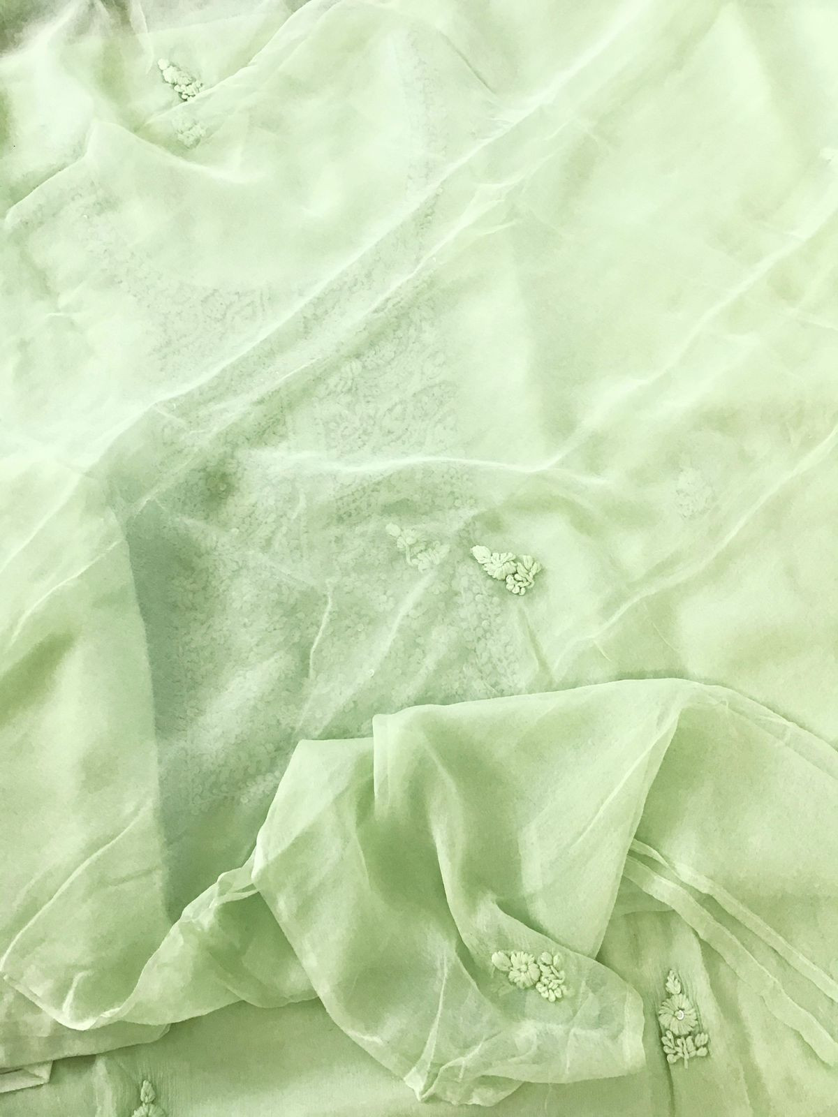 Pure Chinnon Silk Embroidered Suit - Green