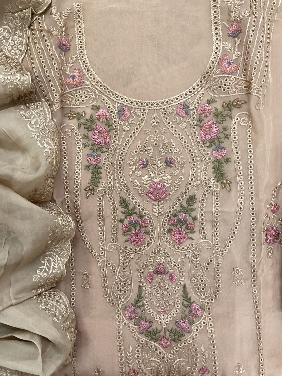 Pure Organza Printed Embroidered Suit - Beige
