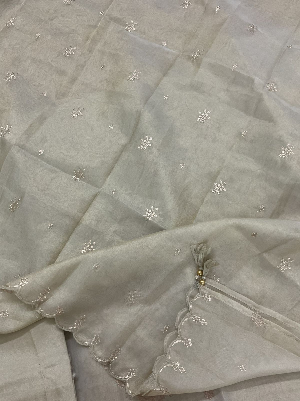 Soft Tissue Shimmer Silk Embroidered Suit - Beige