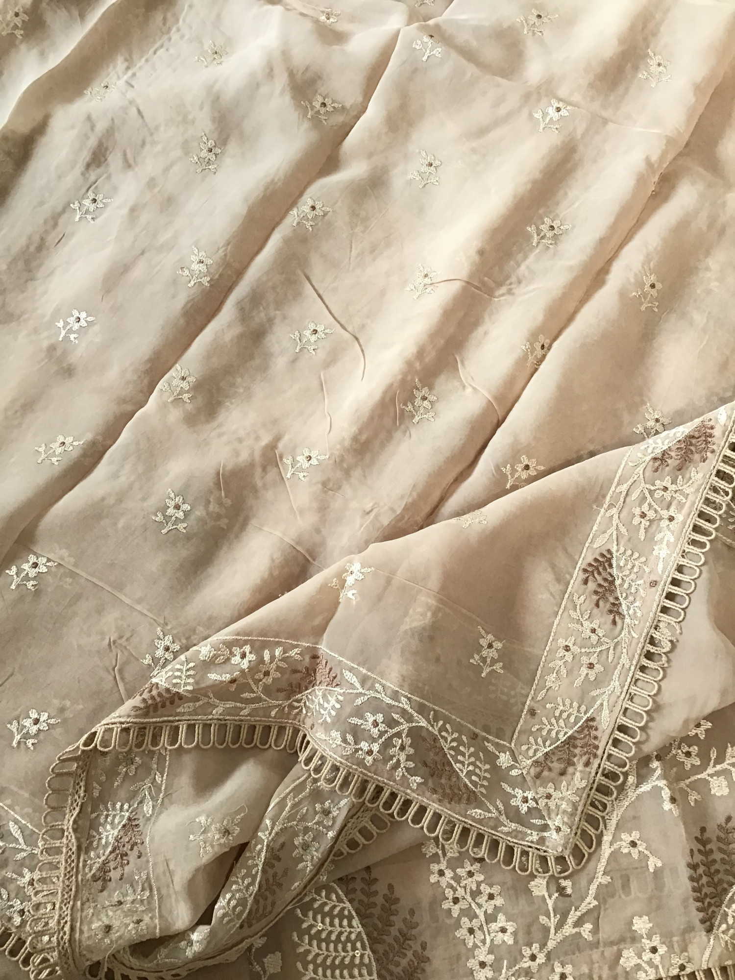 Pure Organza Embroidered Suit - Brown