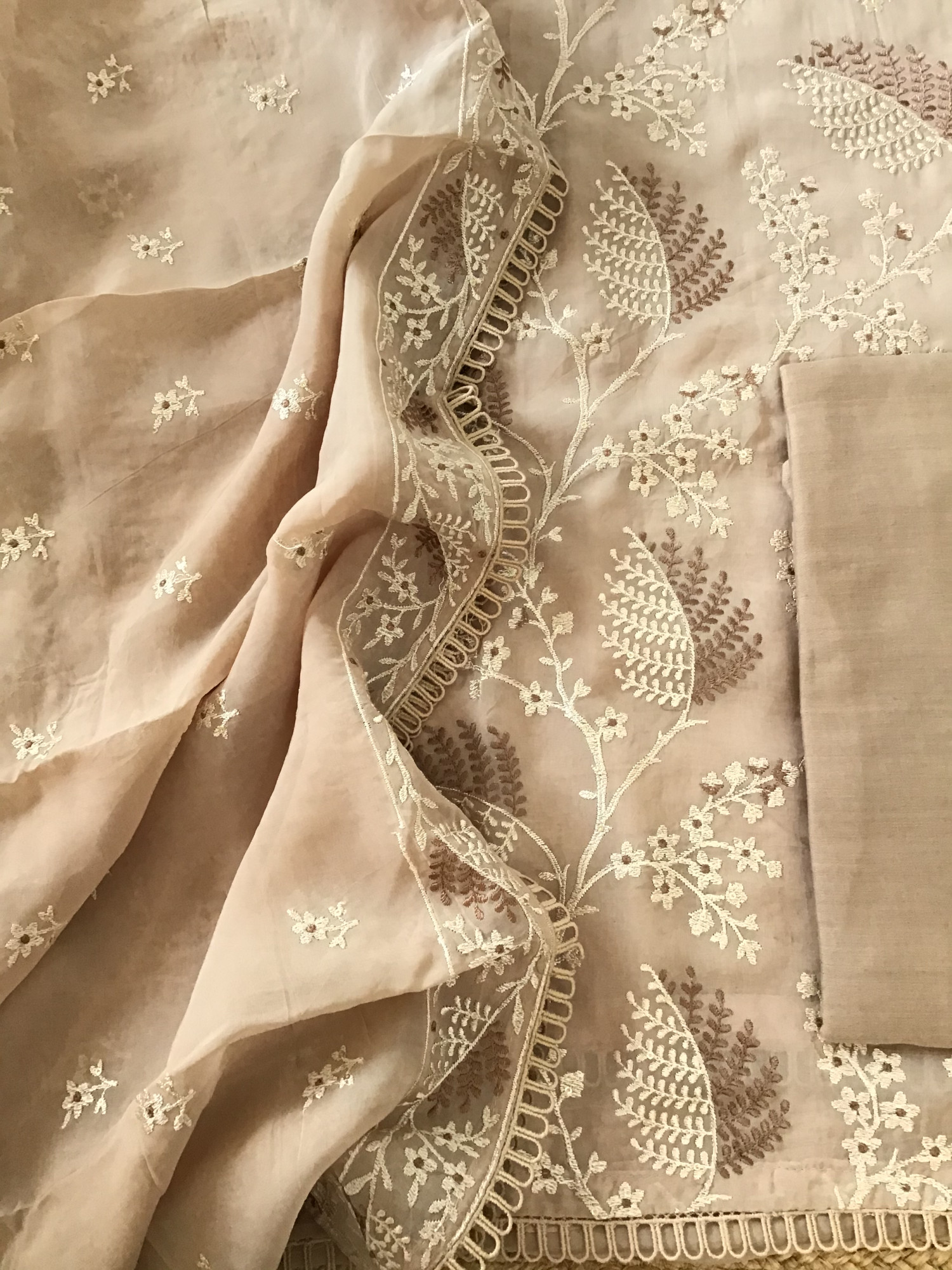 Pure Organza Embroidered Suit - Brown