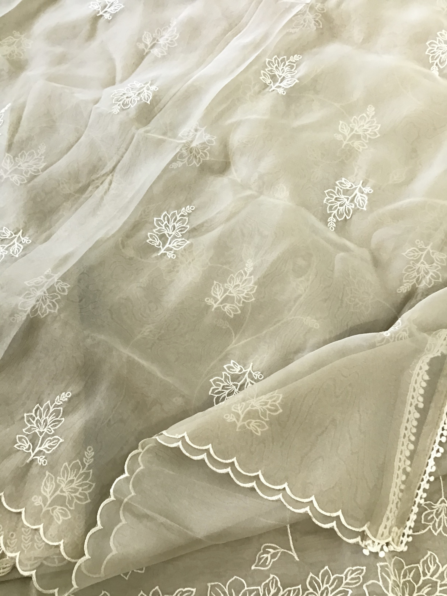 Soft Organza Embroidered Suit - Beige