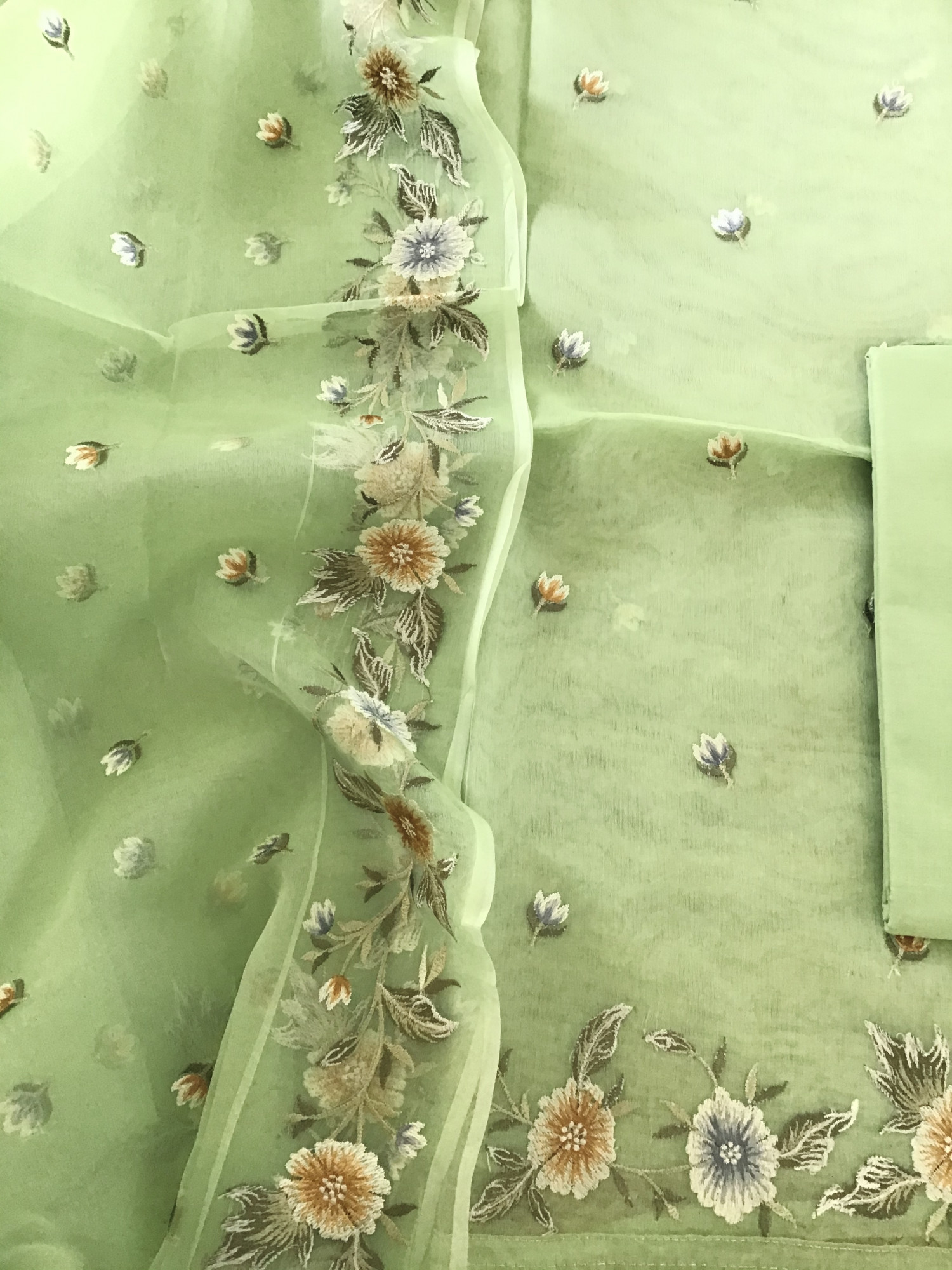 Soft Organza Embroidered Suit - Green