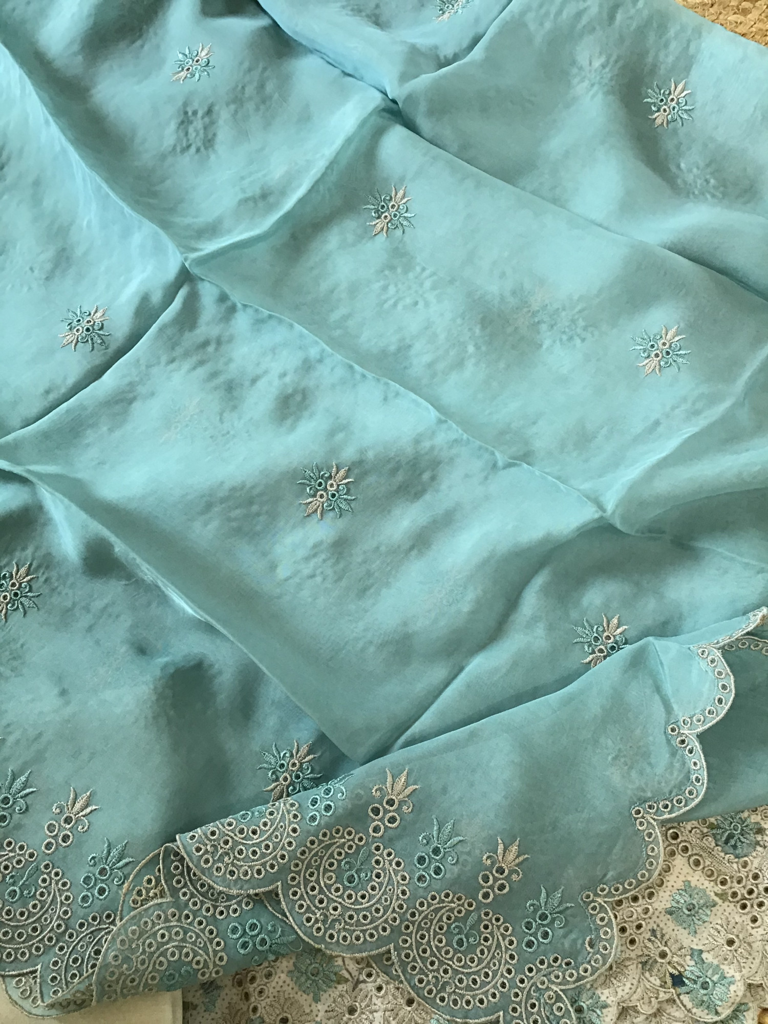 Pure Muslin Printed Embroidered Suit - BeigeBlue