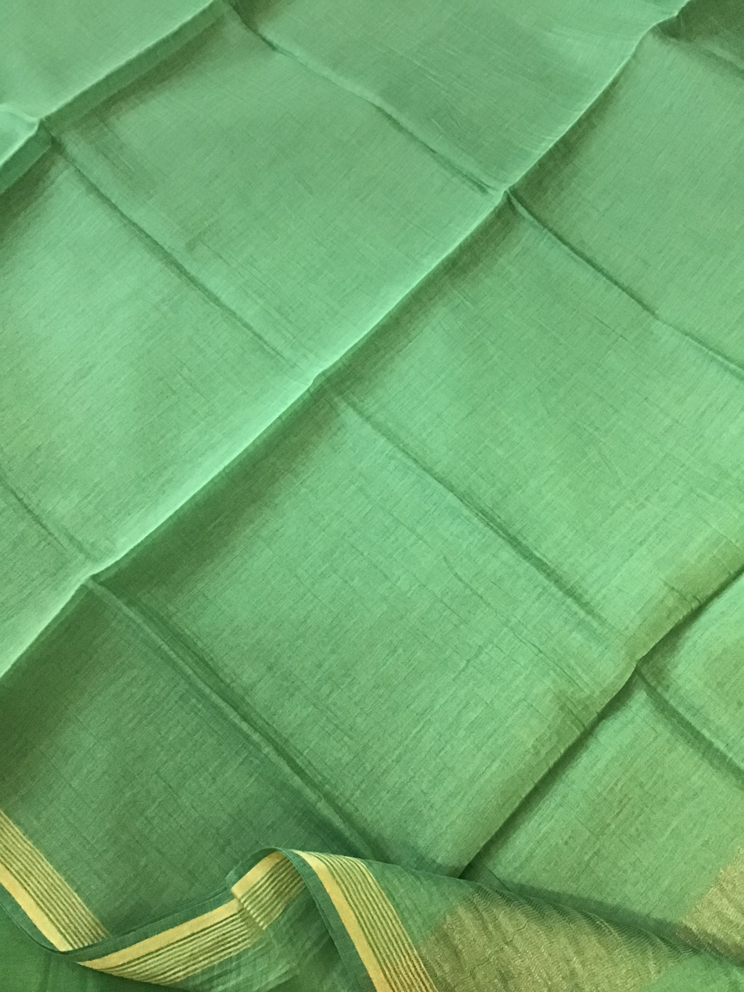 Pure Chanderi Embroidered Suit - Green