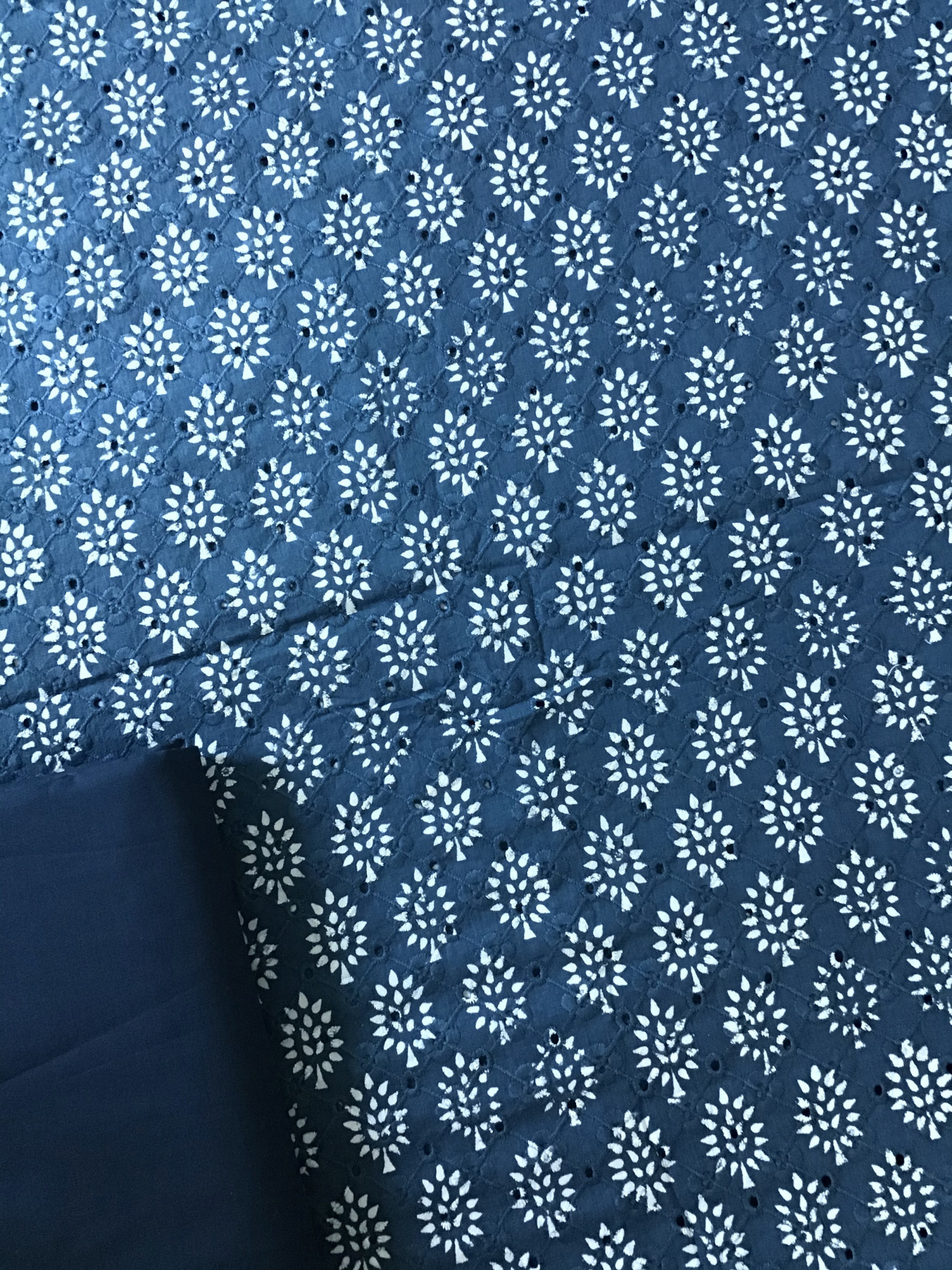 Pure Cotton Printed Embroidered Suit - Blue