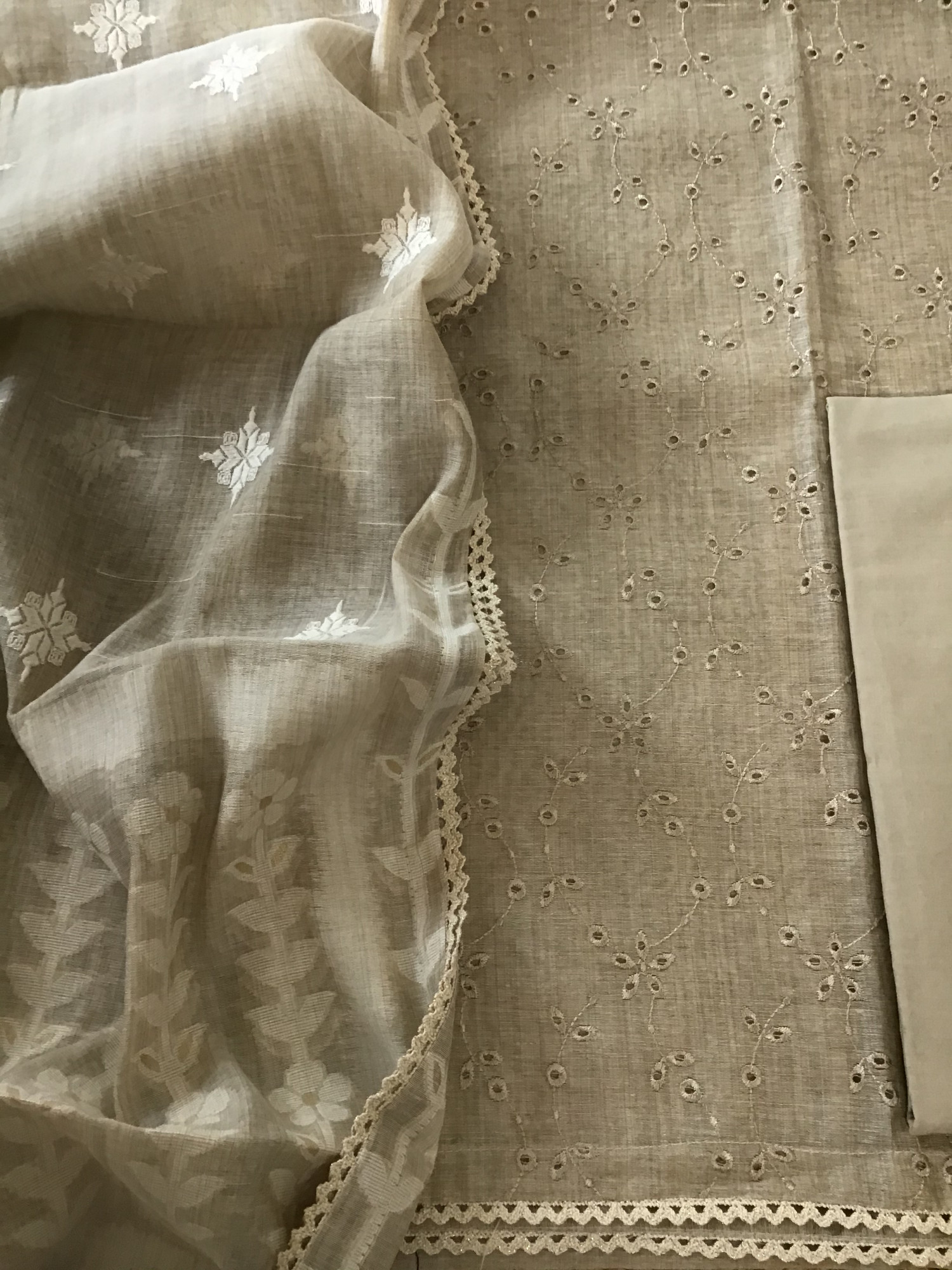 Soft Slub Chanderi Embroidered Suit - Beige