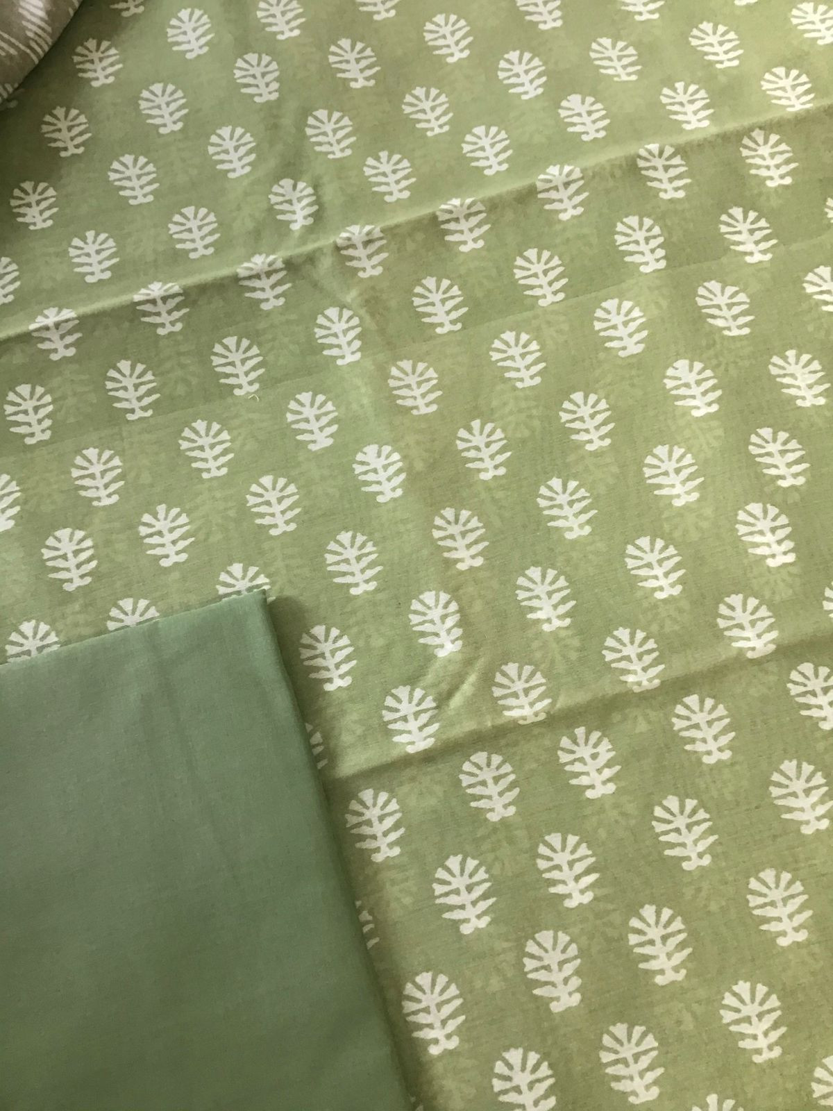 Pure Maheshwari Printed Embroidered Suit - Green