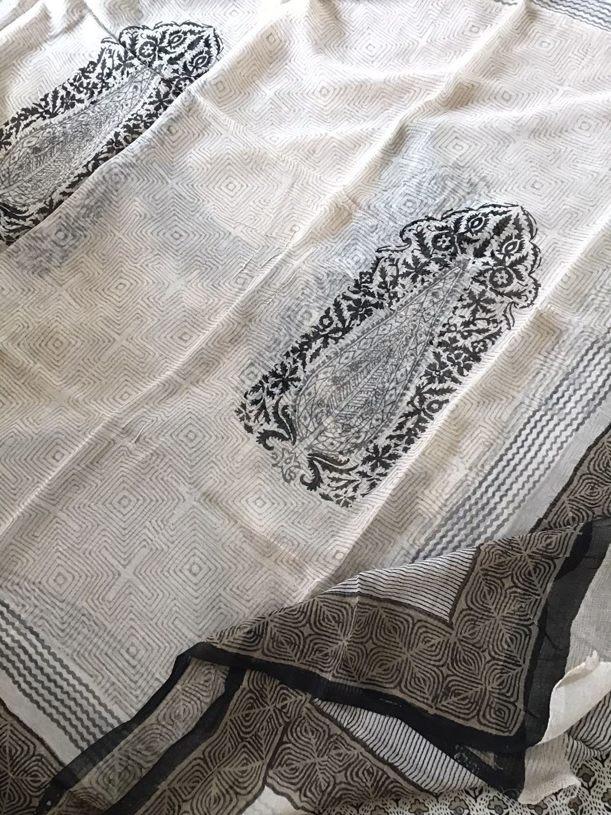 Pure Chanderi Block Printed Embroidered Suit - Beige