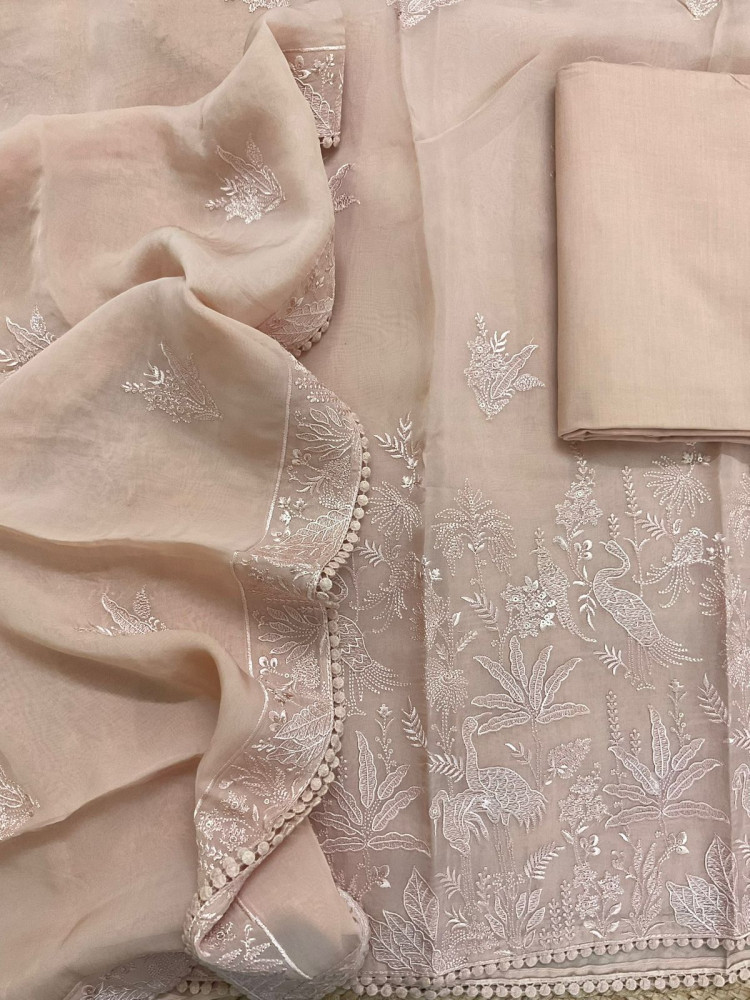 Image of Pure Organza Embroidered Suit - Peach