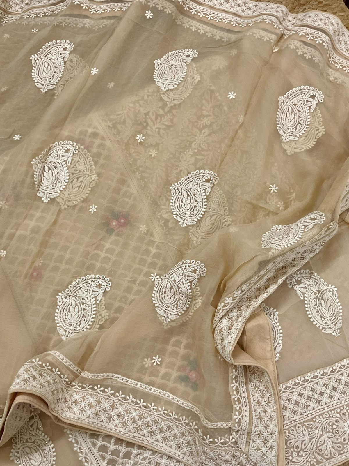 Pure Fine Georgette Embroidered Suit - Beige