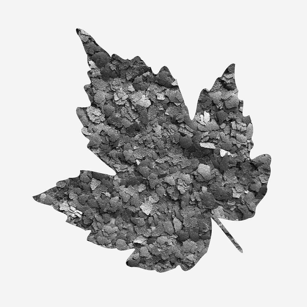 RAPLAP Sparkling Flakes Black 40g