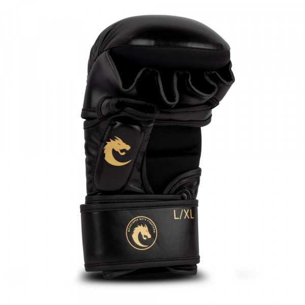CHIZLD IMPACT SPARRING GLOVES