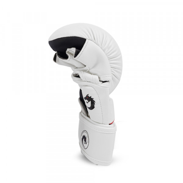 CHIZLD IMPACT SPARRING GLOVES