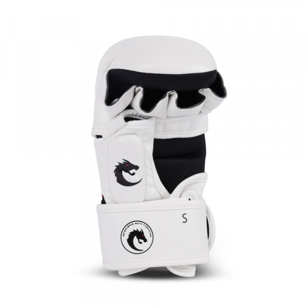 CHIZLD IMPACT SPARRING GLOVES