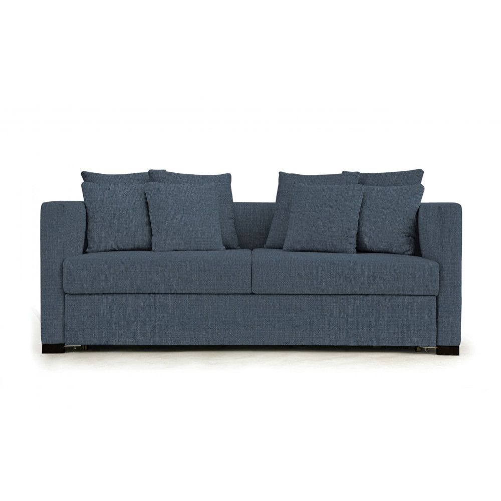Monte Sofa Cum Bed
