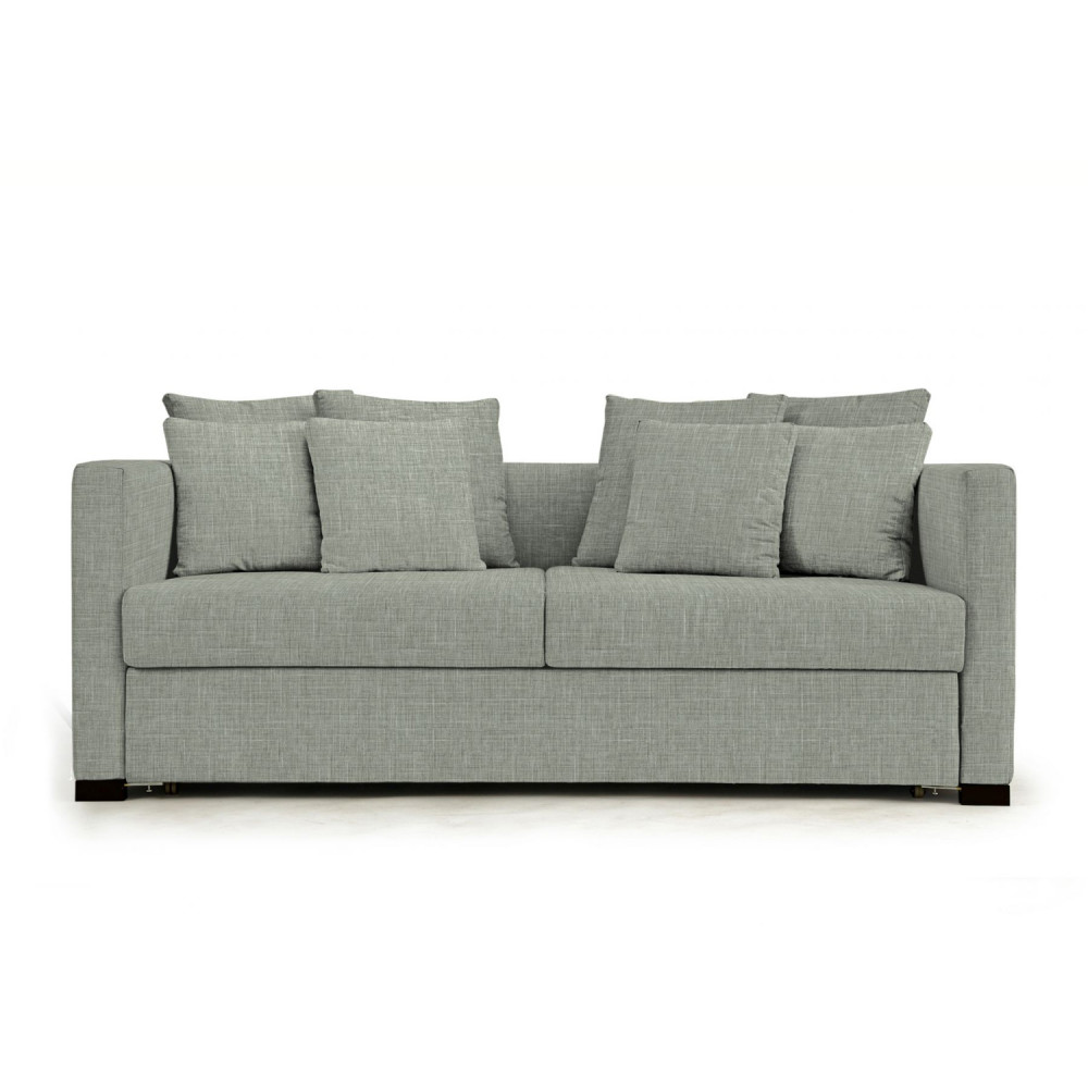 Monte Sofa Cum Bed