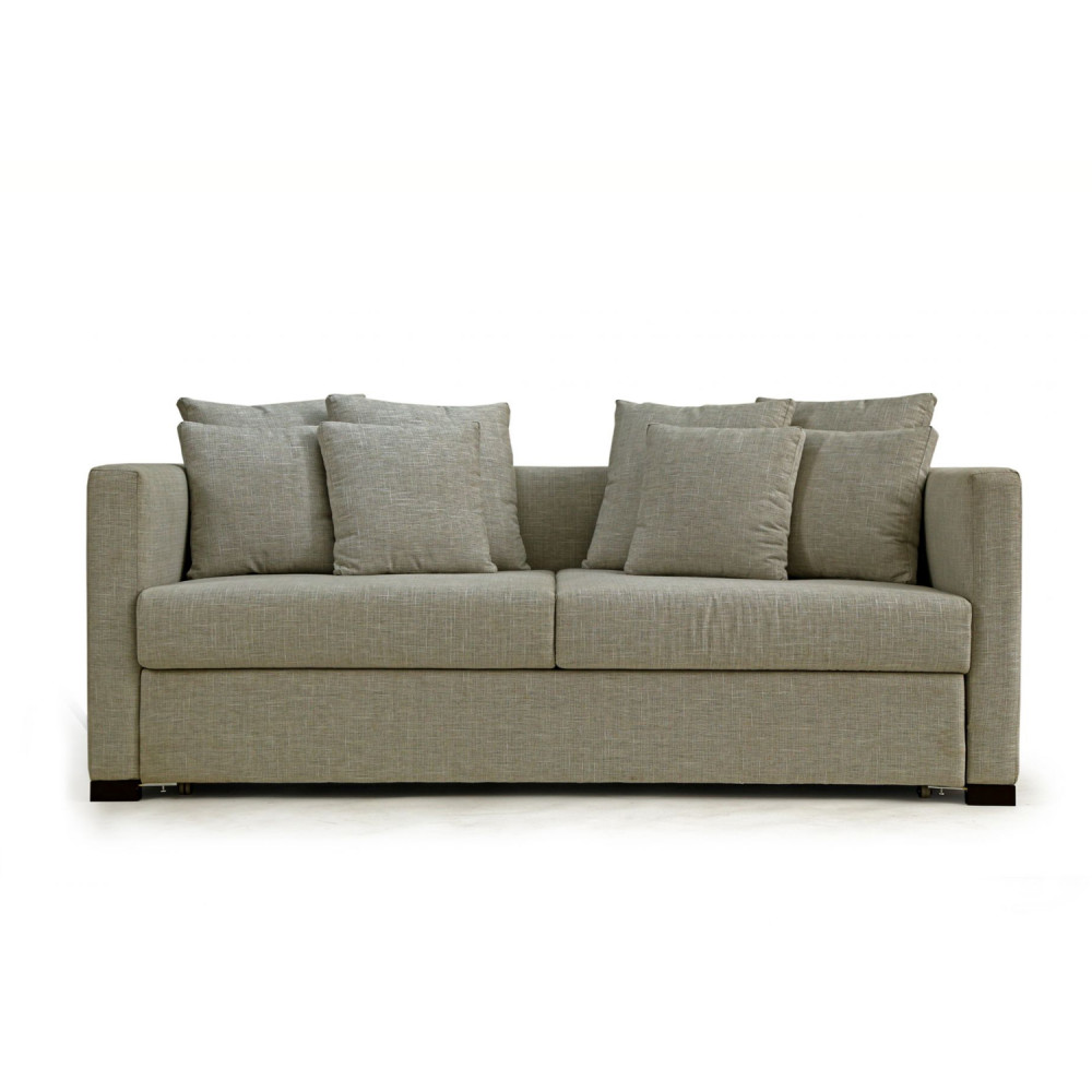Monte Sofa Cum Bed