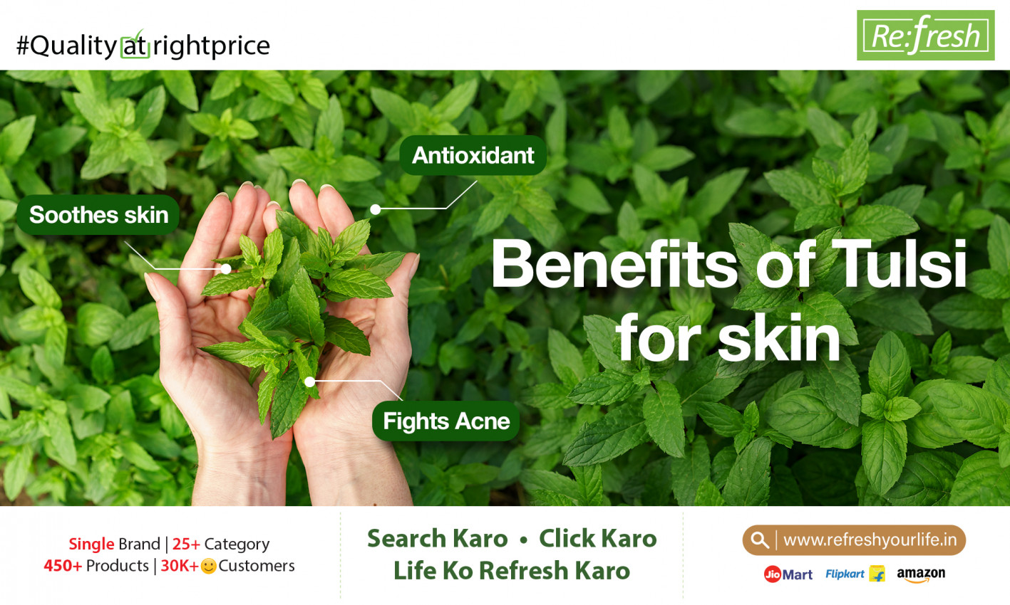 Benefits of Tulsi for Skin