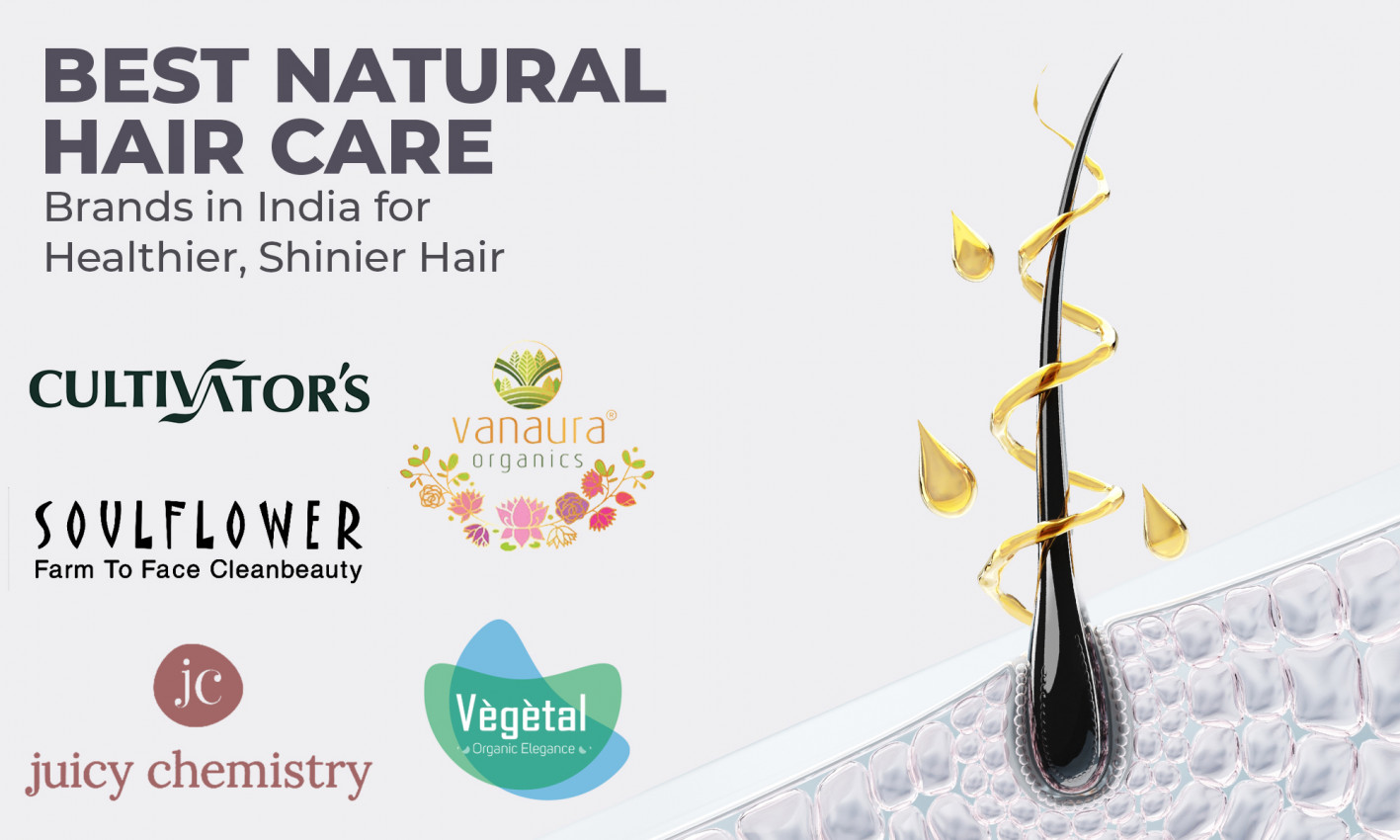 Natural Hair Care Brands