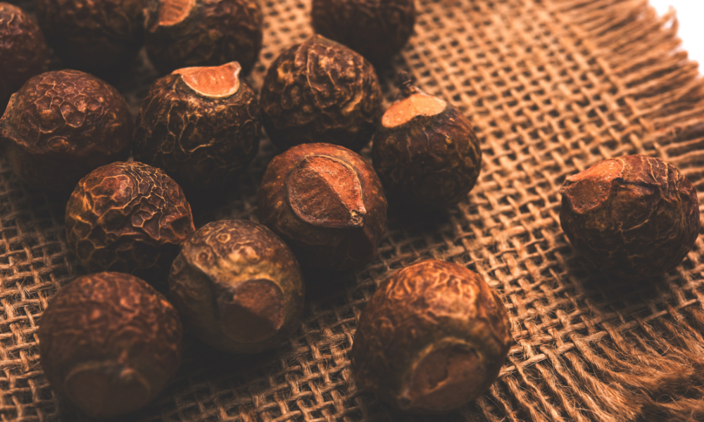 Health Benefits of Aritha powder