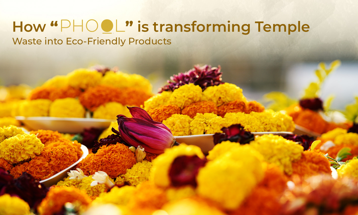 Phool Bro How “Phool” is transforming Temple Waste into Eco-Friendly Products