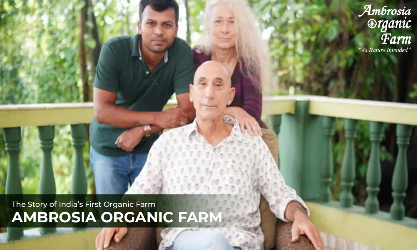 First Organic Farm