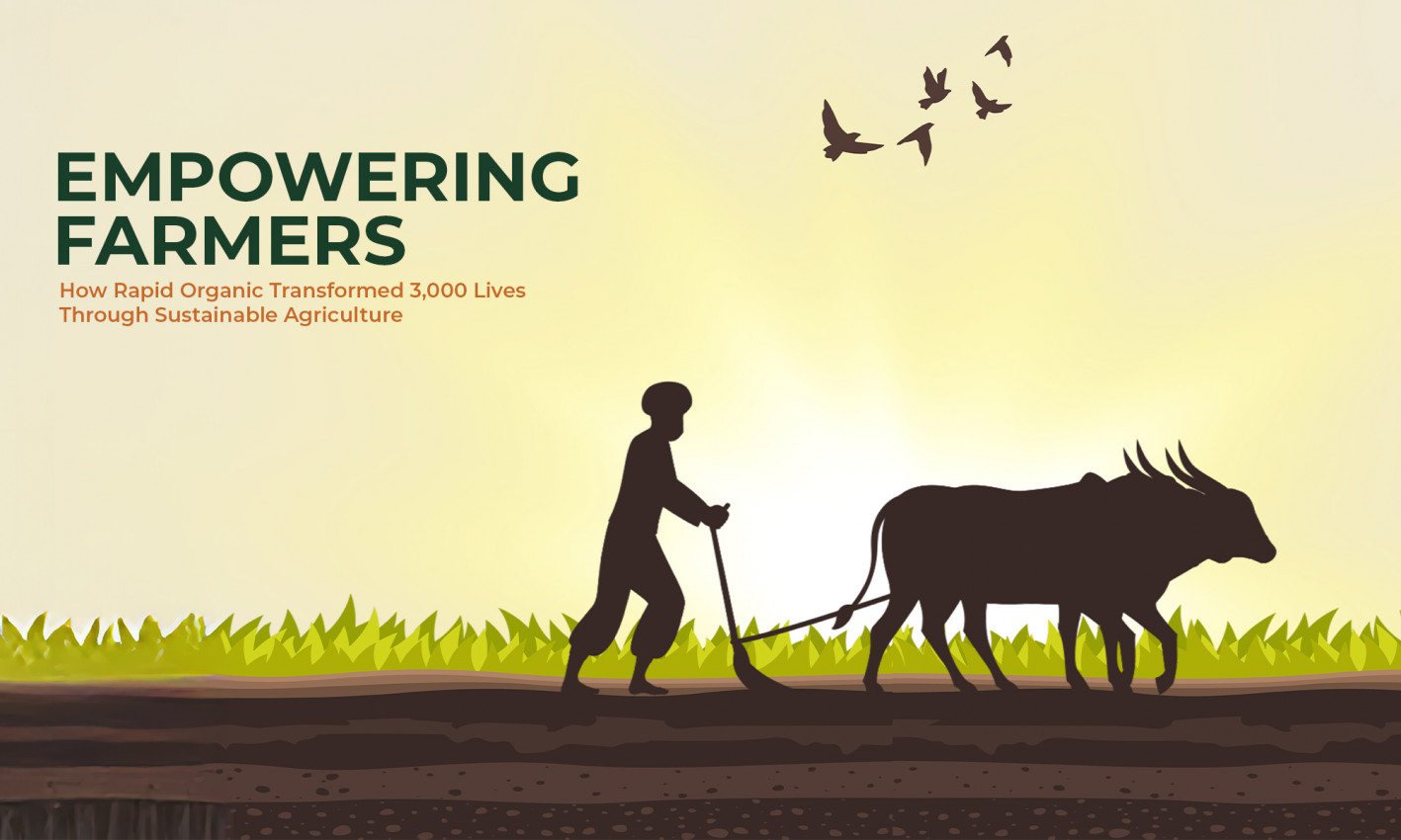 Farmers Program Empowering Farmers: How Rapid Organic Transformed 3,000 Lives Through ...