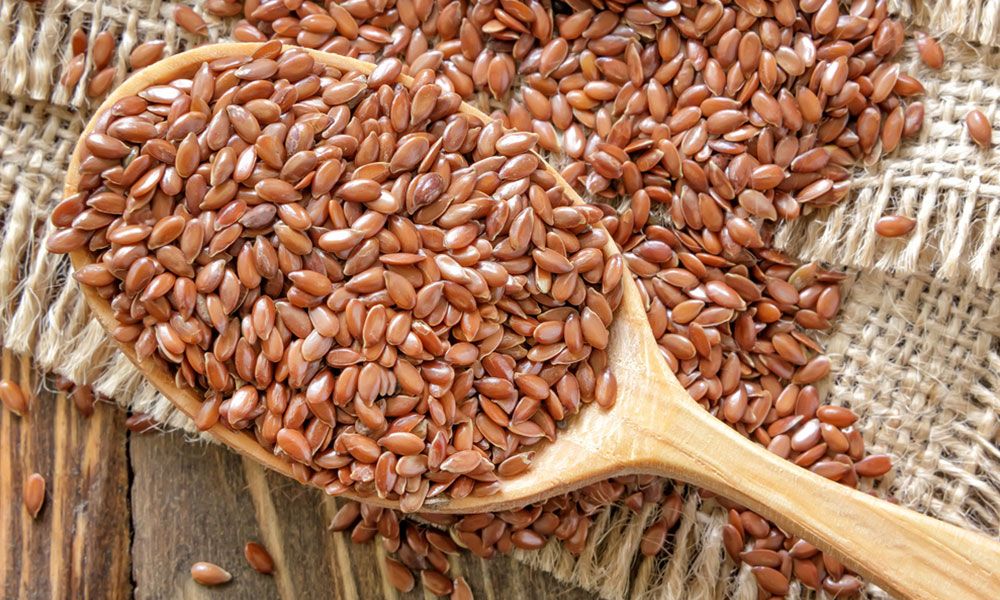 Refresh Organic Flax Seeds - A Medicinal Food