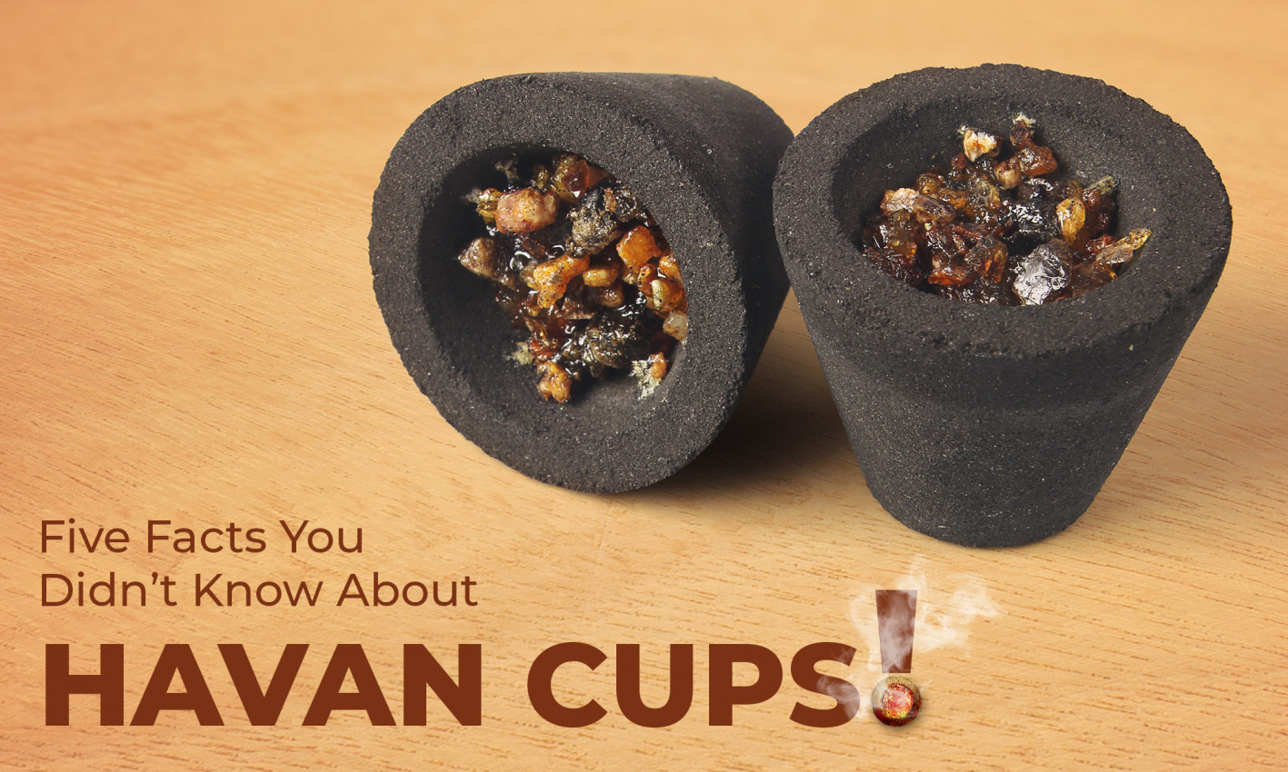 Havan Compose Five Facts You Didn’t Know About Havan Cups!