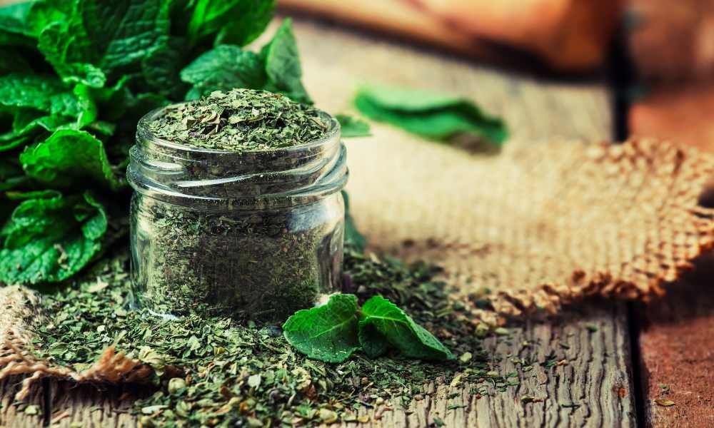 Health Benefits of Mint Leaves