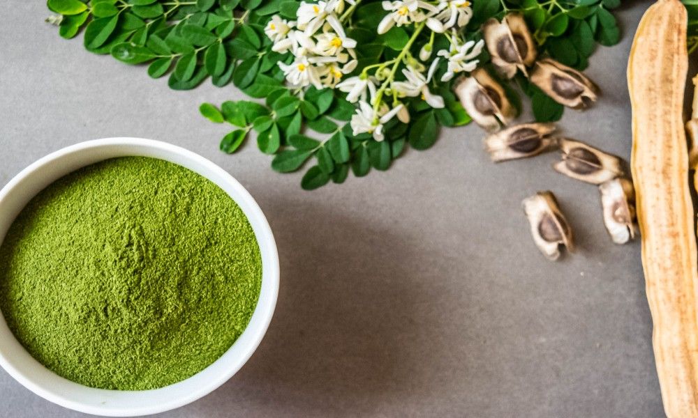 Moringa Powder Health Benefits & Uses