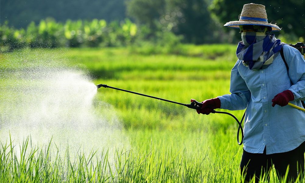 Impact of Pesticide