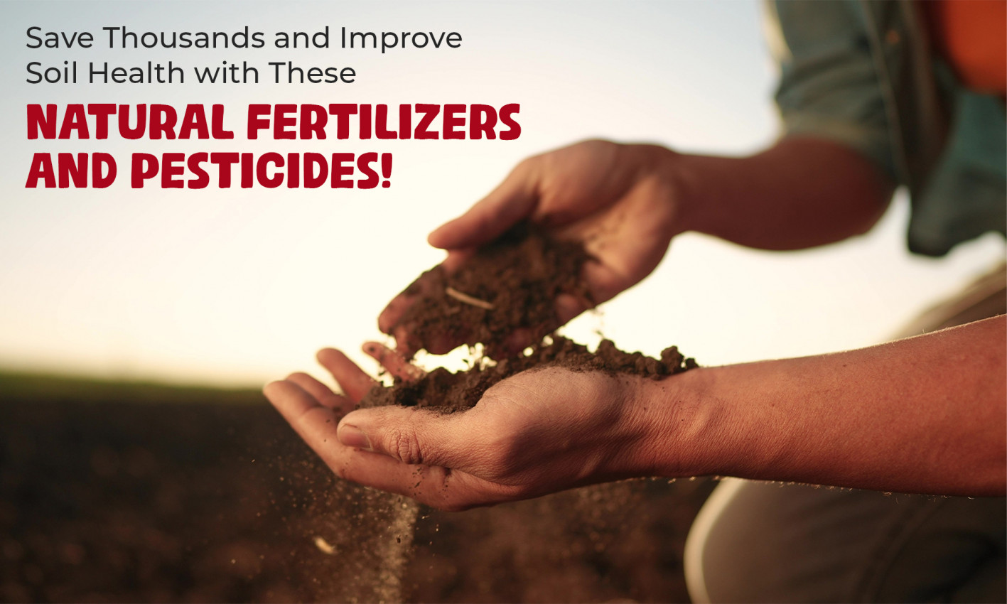 Using Fertilizers Save Thousands and Improve Soil Health with These Natural Fertilizers ...