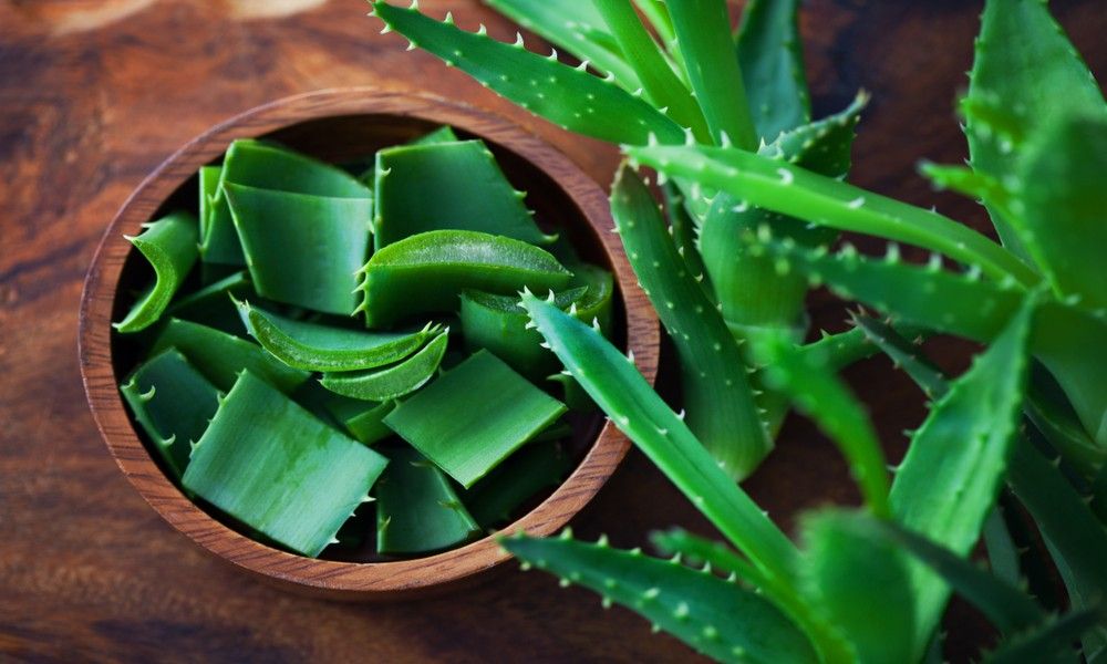 Aloevera Health Benefits
