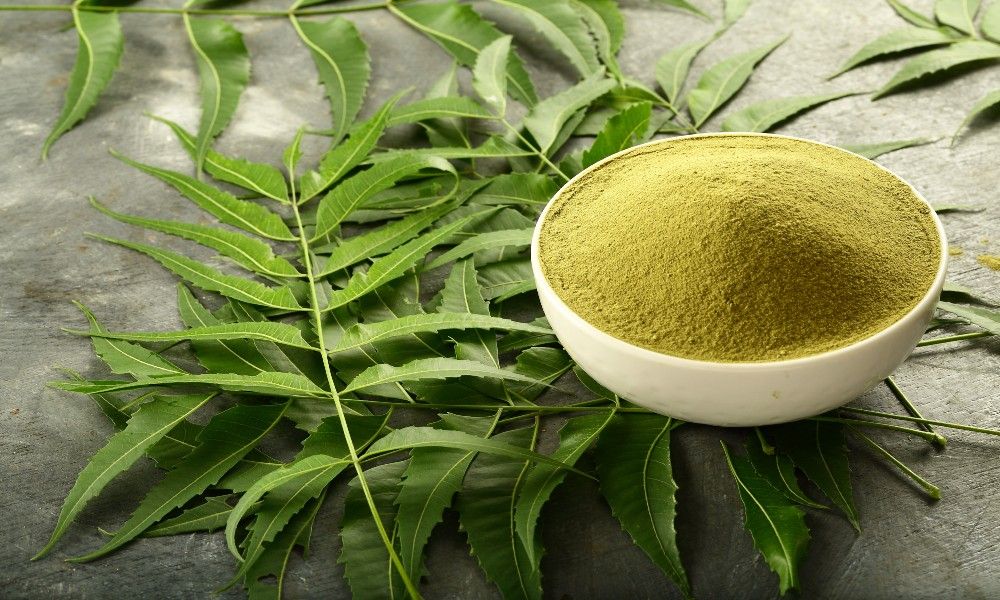Neem Tablet and Powder Benefits
