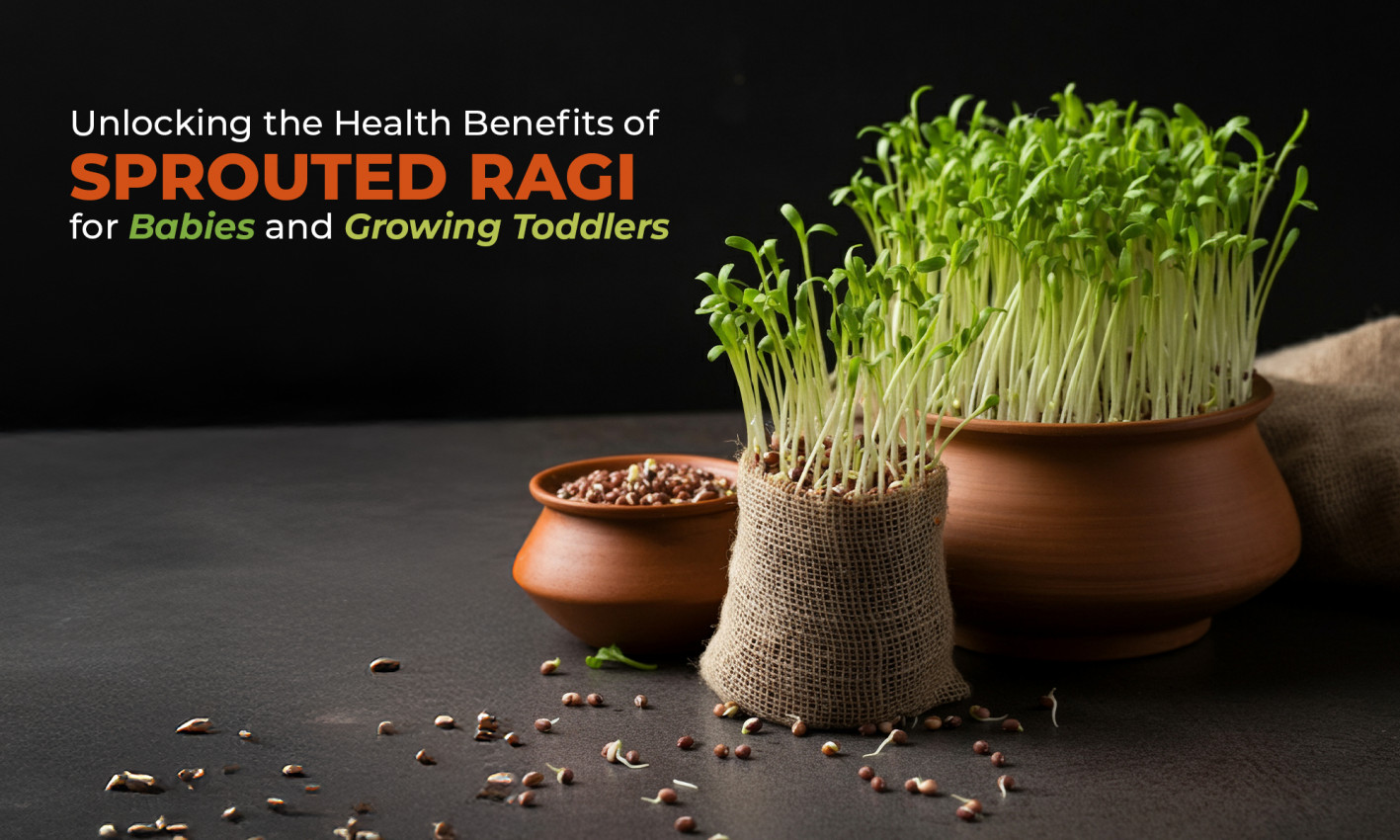 Unlocking the Health Benefits of Sprouted Ragi for Babies and Growing ...