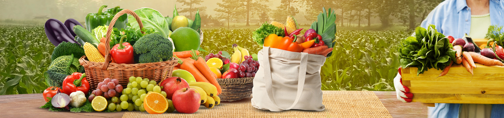 Fruits &amp; Vegetable